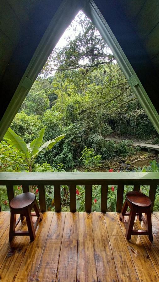 Hotel Cerveceria James Xilitla Exteriör bild